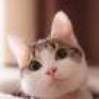 植发星三爷领嗨_573