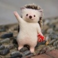 植发星D_Wade韦德