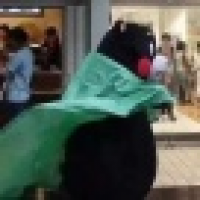 植发星阿拉蕾_2568