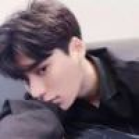 植发星大脸猫凤梨酥