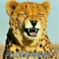 植发星来自猩猩的谁