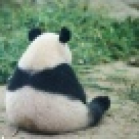  糜烂生活zZ不觉