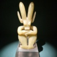 植发星wangong921012