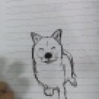 植发星懂我了不