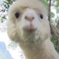 植发星weiantao1111