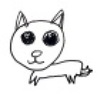 植发星麻辣兔头