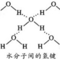 植发星小鬼31553