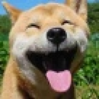 植发星摇滚的冷血