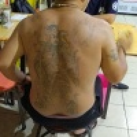 植发星梦幻皇族簝h