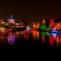 植发星安小姐的火龙果