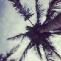 植发星岱山囜李小卉_L