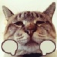 植发星娥眉双子