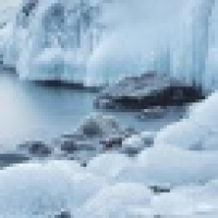 植发星若儿蹩噣箜