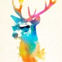 植发星宝宝梦媛