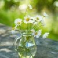 植发星张秋冬先生