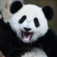 植发星哦草2k白晸