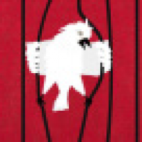 植发星啊进专业贴墙纸