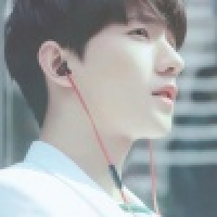 植发星木豆乐74