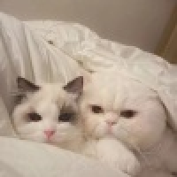 植发星哇002AF鑫s