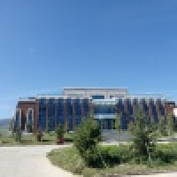 植发星馒头妹妹A165