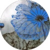 植发星网友_X5ARSO