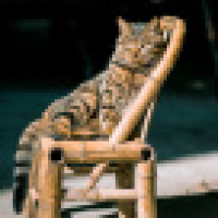 植发星网友_8KAS2I