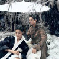 植发星zl371689142