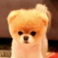 植发星七殿哥哥4339