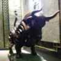 植发星桥头落没12