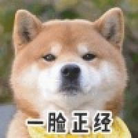 植发星xiaoguo在路上