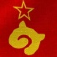 植发星permit哈维梅西