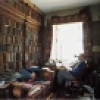 植发星浔子倭毁54