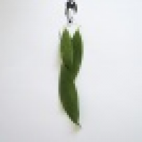 植发星江西开锁土