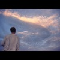 植发星我爱吃荔枝