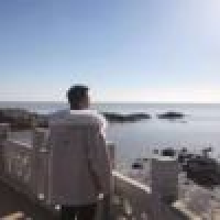 植发星柠檬遇上含羞草