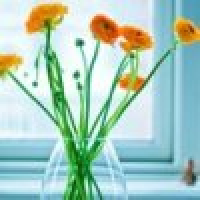 植发星浦发还有