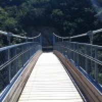 植发星043颊咸镭任