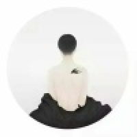 植发星0狐狸的尾巴0