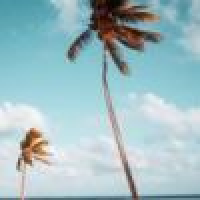 植发星11薇小妞