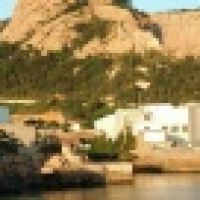 植发星1313nihaoya