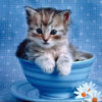 植发星1314mnbvcxz0