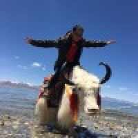 植发星1343982752jmh