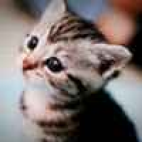 植发星152246IsKtnwS