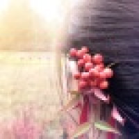 植发星188389kIrCuKC