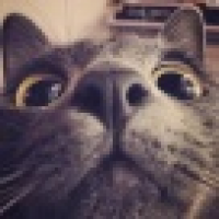 植发星189032aeRuSnF