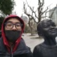 植发星1只游泳的小鸟