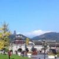 植发星1女人善待自己