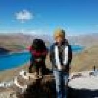 植发星2014落墨花开