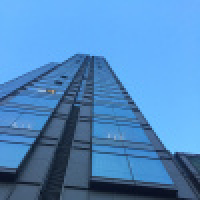 植发星2015年冬天