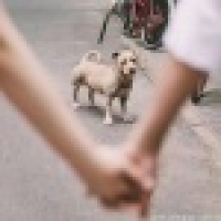 植发星272833295QQ